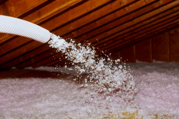 Best Residential Insulation in Menasha, WI