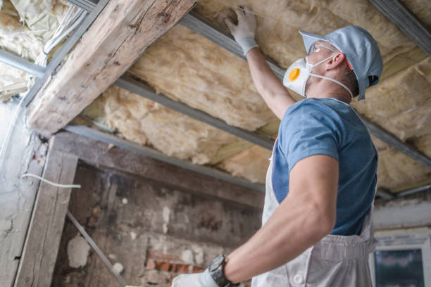 Best Eco-Friendly Insulation in Menasha, WI