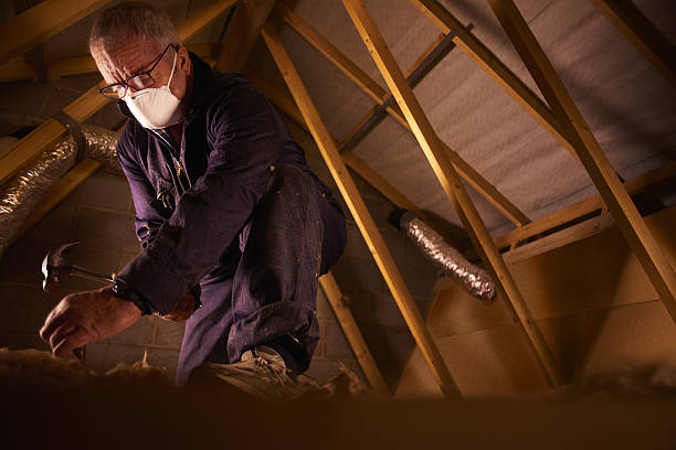 Best DIY Insulation Kits and Guidance in Menasha, WI